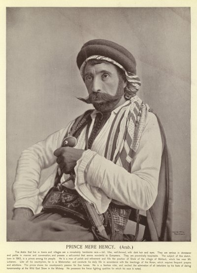 Prinz Mere Hemcy, Araber von American Photographer