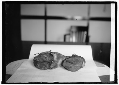 Prohibitionseinheit (Kuhschuhe), 28. Juni 1924 von American Photographer