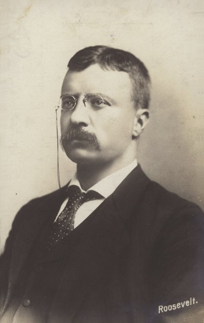 Roosevelt von American Photographer
