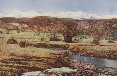 Die schneebedeckte Bergkette, nahe Trinidad, Colorado von American Photographer