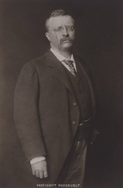 Theodore Roosevelt, 26. Präsident der Vereinigten Staaten, 1904 von American Photographer