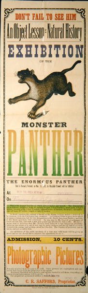 Anzeige für die Ausstellung des Monsterpanthers von American School