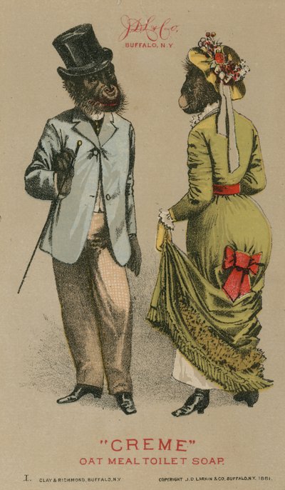 Schimpansen in modischer Kleidung von American School