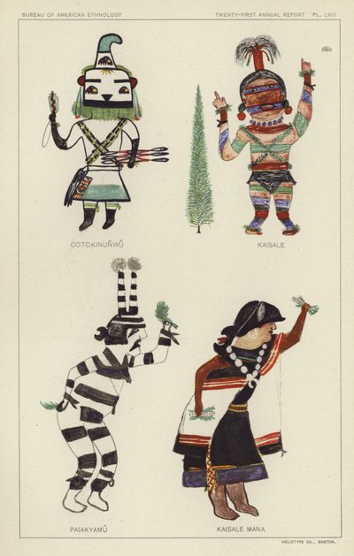 Cotokinunwu, Kaisale, Paiakyamu, Kaisale Mana von American School