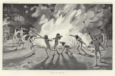 Tanz von Nahikai von American School