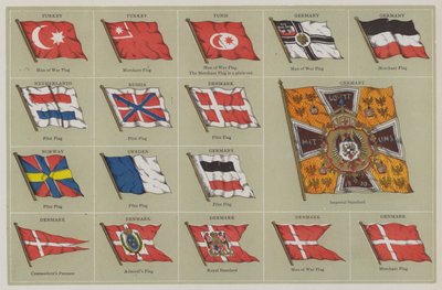 Flaggen von American School