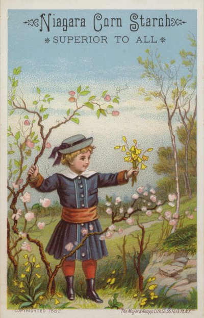 Mädchen mit Blumenstrauß auf dem Land von American School