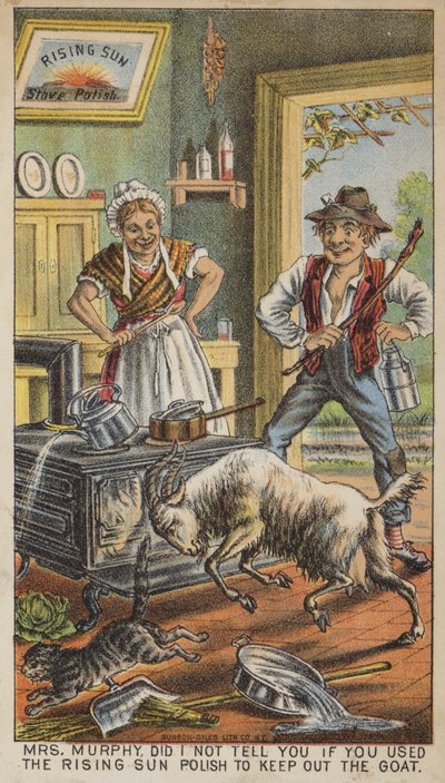 Ziege jagt Katze in der Küche von American School