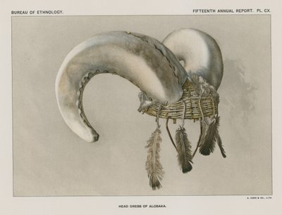 Kopfschmuck von Aloska von American School