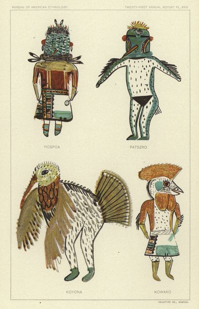 Hospoa, Paszro, Koyona, Kowako von American School