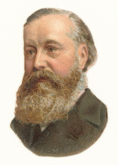 James Abram Garfield von American School