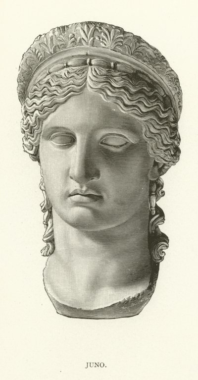 Juno von American School