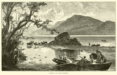 Seen von Killarney von American School