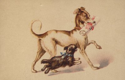 Großer und kleiner Hund rennen von American School