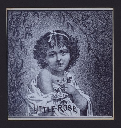 Kleine Rose, Zigarrenetikett von American School