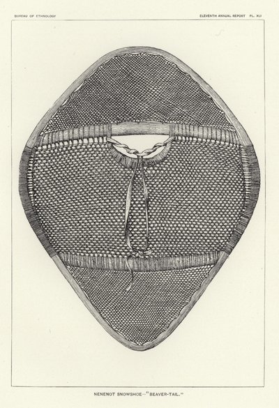 Nenenot-Schneeschuh - Biberschwanz von American School