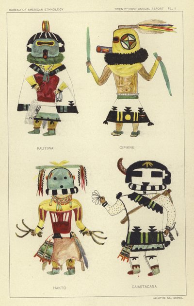 Pautiwa, Cipikne, Hakto, Caiastacana von American School