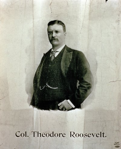 Porträt von Oberst Theodore Roosevelt von American School