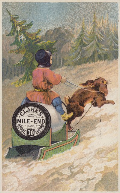 Hase zieht Schlitten im Schnee von American School