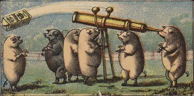 Sternguckende Schweine von American School