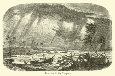 Sturm in den Tropen von American School