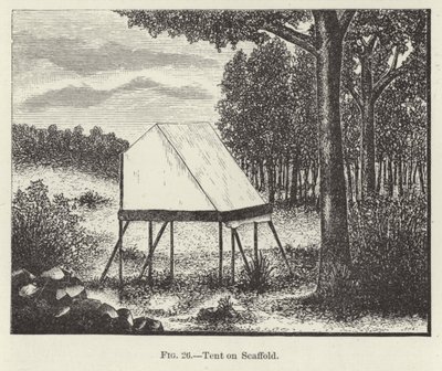 Zelt auf Gerüst von American School