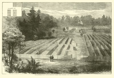 Der Andersonville-Friedhof, wo 14.000 Unionsgefangene begraben wurden, Mai 1865 von American School