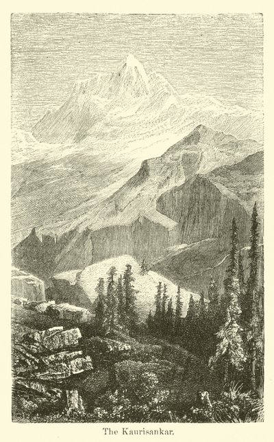 Der Kaurisankar von American School