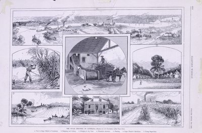 Die Zuckerindustrie von Louisiana von American School