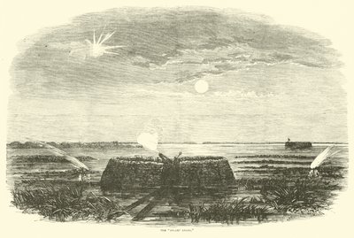 Der Sumpfengel, August 1863 von American School