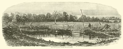 Das Weizenfeld, wo Reynolds fiel, Juli 1863 von American School