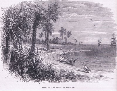 Ansicht der Küste von Florida, Illustration aus Cassell