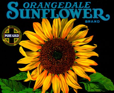 Vintage Sonnenblumen-Fruchtkistenetikett von American School