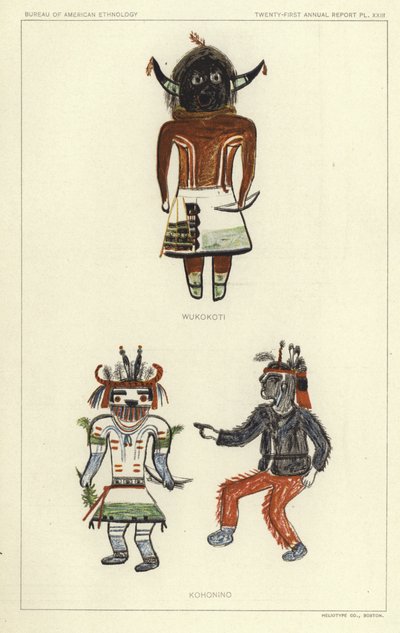 Wukokoti, Kohonino von American School
