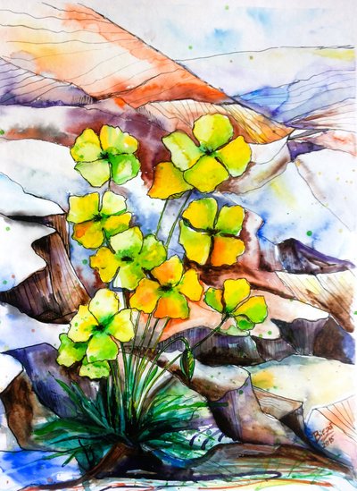 Lebendige Bergblumen von Anda Bieza
