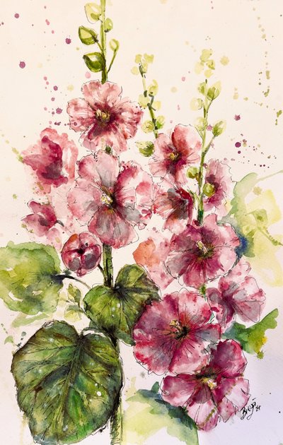 Lebendige Rosa Stockrosen von Anda Bieza