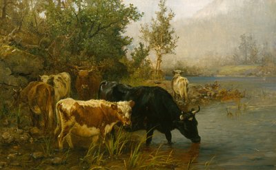 Kühe am Wasser von Anders Askevold