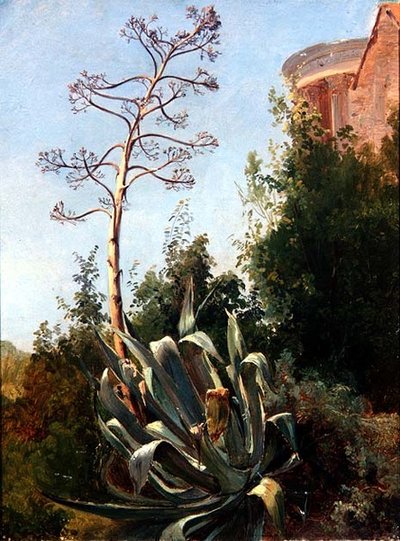 Landschaft; Süditalien von Anders Christian Lunde