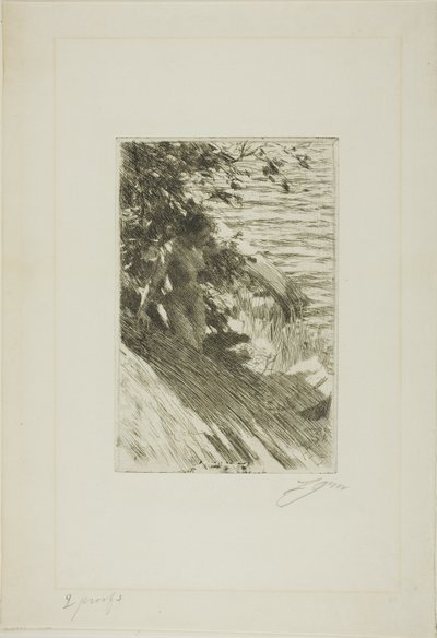 Die große Badende von Anders Leonard Zorn
