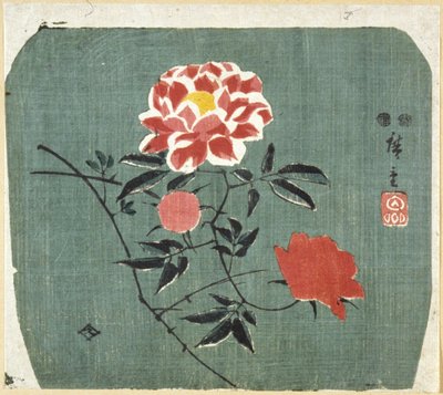 Fächerdruck: Rose von Ando or Utagawa Hiroshige