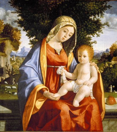 Madonna mit Kind in Landschaft von Andrea Previtali