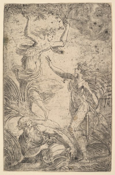 Apollo rechts mit Bogen jagt Daphne links, ca. 1538-40 von Andrea Schiavone