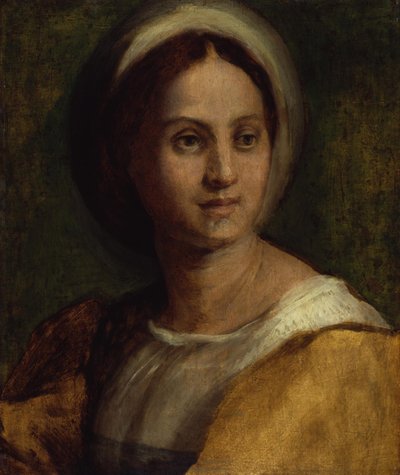 Bildnis einer jungen Frau von Andrea del Sarto