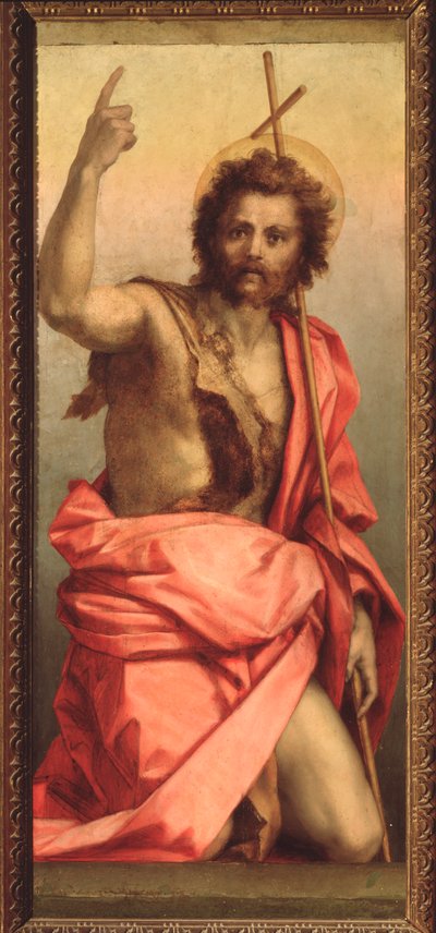 Johannes der Täufer, Altarbild der Heiligen Agnes (1525-1528) von Andrea del Sarto