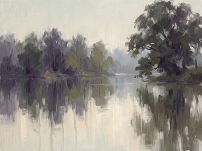 Neblige Flussspiegelungen von Andreas Magnusson