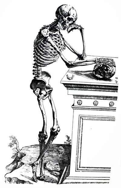 Die Platten aus dem siebten Buch der De Humani Corporis Fabrica von Andreas Vesalius