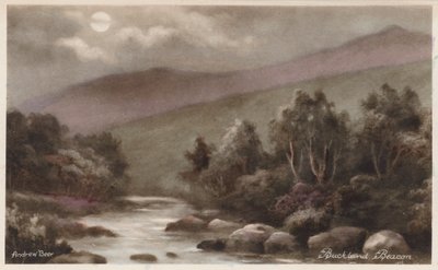 Dartmoor: Buckland Beacon von Andrew Beer