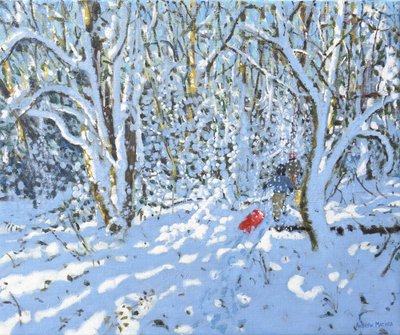 Roter Schlitten, Allestree Park, Derby von Andrew Macara