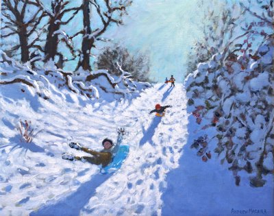 Schlittenfahren, Calke Abbey, Ticknall, Derby, 2021 von Andrew Macara