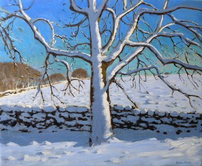 Schneebedeckter Baum, 2011 von Andrew Macara